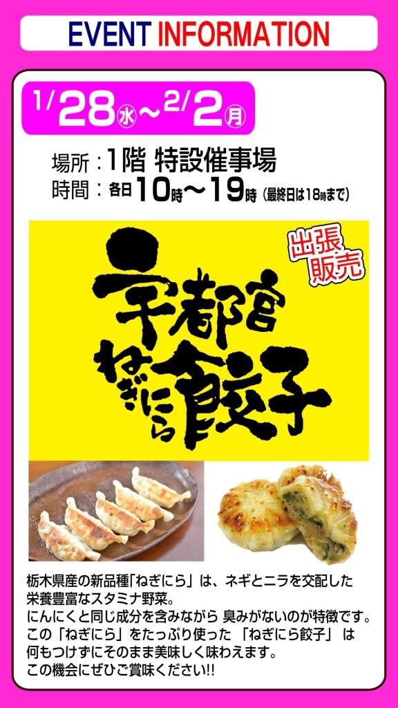 宇都宮ねぎにら餃子【出張販売】